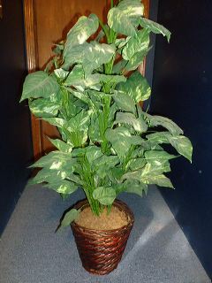 may_9_auction_-_102