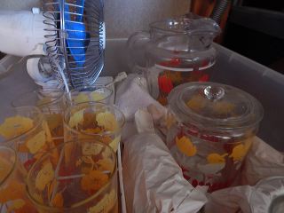 dscn5150