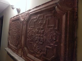 dscn5193