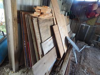 dscn5224