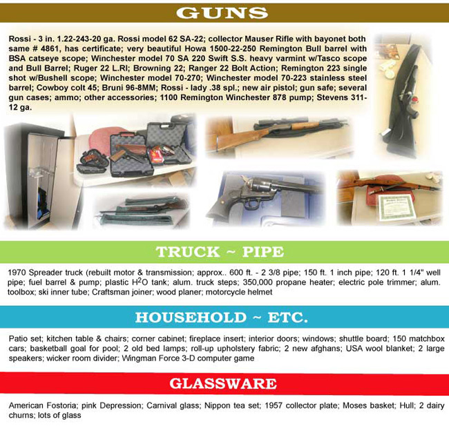 Gun Auction